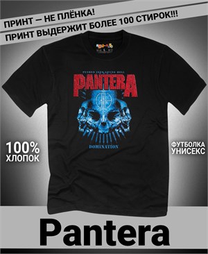 {{photo.Alt || photo.Description || 'Футболка Pantera-14'}}