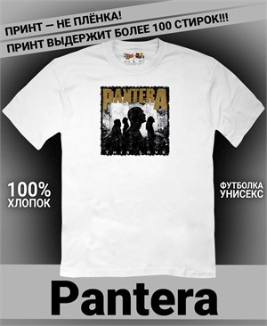 {{photo.Alt || photo.Description || 'Футболка Pantera-20'}}