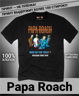 {{photo.Alt || photo.Description || 'Футболка Papa Roach-3'}}