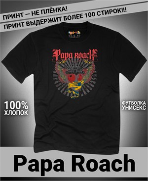 {{photo.Alt || photo.Description || 'Футболка Papa Roach-9'}}