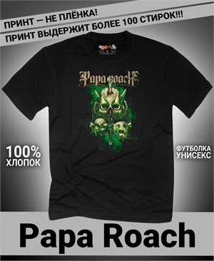 {{photo.Alt || photo.Description || 'Футболка Papa Roach-10'}}