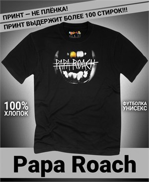 {{photo.Alt || photo.Description || 'Футболка Papa Roach-11'}}