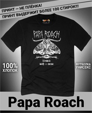 {{photo.Alt || photo.Description || 'Футболка Papa Roach-12'}}