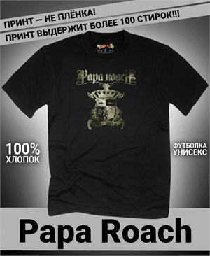 {{photo.Alt || photo.Description || 'Футболка Papa Roach-13'}}