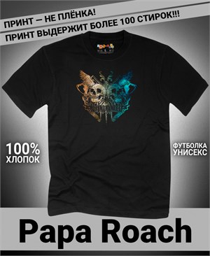 {{photo.Alt || photo.Description || 'Футболка Papa Roach-14'}}