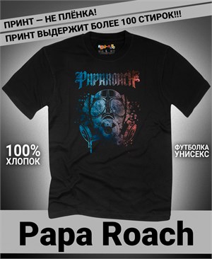 {{photo.Alt || photo.Description || 'Футболка Papa Roach-15'}}