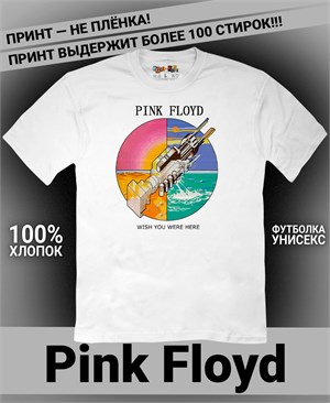 Футболка Pink Floyd-3 pink-floyd-3