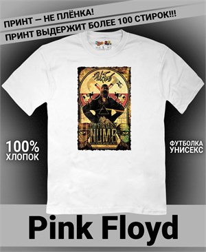{{photo.Alt || photo.Description || 'Футболка Pink Floyd-6'}}