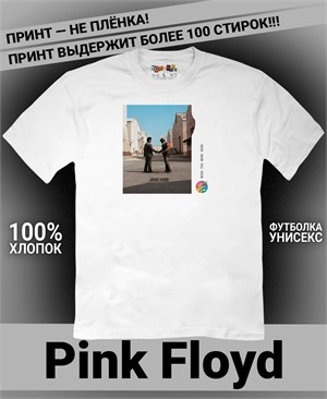 {{photo.Alt || photo.Description || 'Футболка Pink Floyd-21'}}