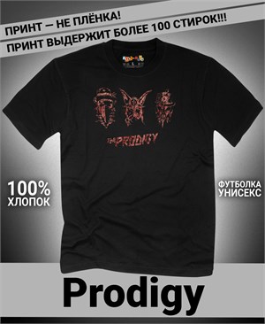 {{photo.Alt || photo.Description || 'Футболка Prodigy-5'}}