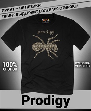 {{photo.Alt || photo.Description || 'Футболка Prodigy-6'}}