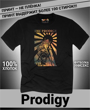 {{photo.Alt || photo.Description || 'Футболка Prodigy-7'}}