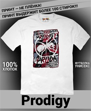 {{photo.Alt || photo.Description || 'Футболка Prodigy-10'}}