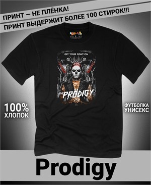 {{photo.Alt || photo.Description || 'Футболка Prodigy-14'}}