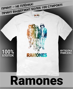 {{photo.Alt || photo.Description || 'Футболка Ramones-2'}}