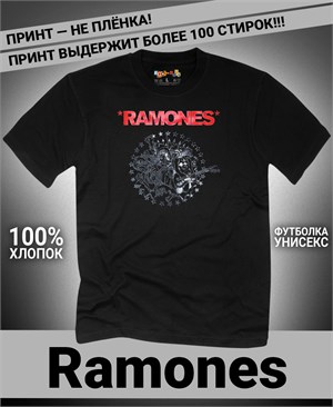 {{photo.Alt || photo.Description || 'Футболка Ramones-4'}}