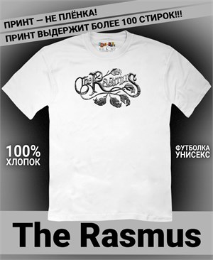 {{photo.Alt || photo.Description || 'Футболка Rasmus-1'}}