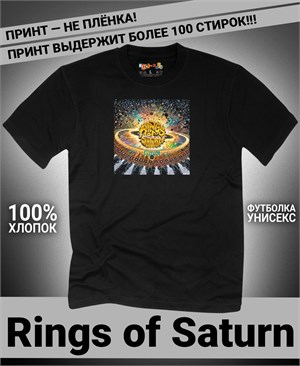 {{photo.Alt || photo.Description || 'Футболка Rings of Saturn-2'}}