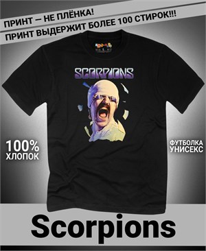{{photo.Alt || photo.Description || 'Футболка Scorpions-1'}}