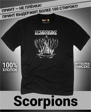 {{photo.Alt || photo.Description || 'Футболка Scorpions-4'}}