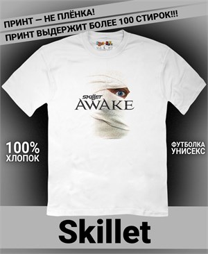 {{photo.Alt || photo.Description || 'Футболка Skillet-4'}}