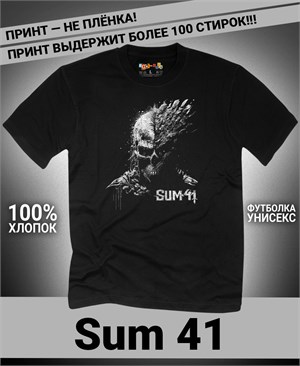 {{photo.Alt || photo.Description || 'Футболка Sum 41-5'}}