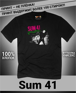 {{photo.Alt || photo.Description || 'Футболка Sum 41-6'}}