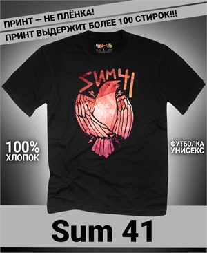 {{photo.Alt || photo.Description || 'Футболка Sum 41-8'}}