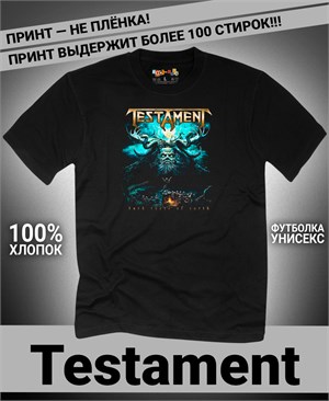 {{photo.Alt || photo.Description || 'Футболка Testament-1'}}
