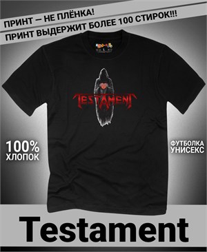{{photo.Alt || photo.Description || 'Футболка Testament-3'}}