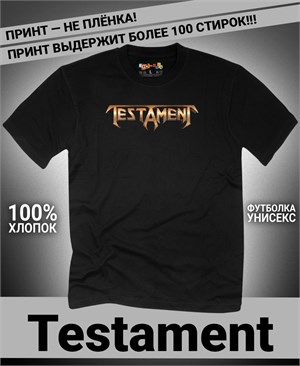 {{photo.Alt || photo.Description || 'Футболка Testament-4'}}