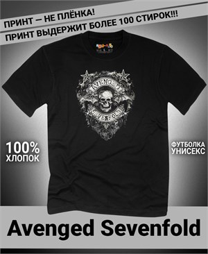 {{photo.Alt || photo.Description || 'Футболка Avenged Sevenfold-11'}}