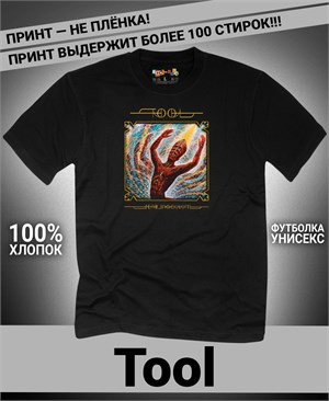 {{photo.Alt || photo.Description || 'Футболка Tool-4'}}