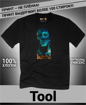 {{photo.Alt || photo.Description || 'Футболка Tool-6'}}