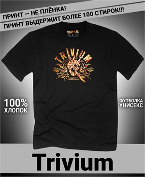 {{photo.Alt || photo.Description || 'Футболка Trivium-4'}}