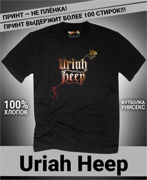 {{photo.Alt || photo.Description || 'Футболка Uriah Heep-4'}}