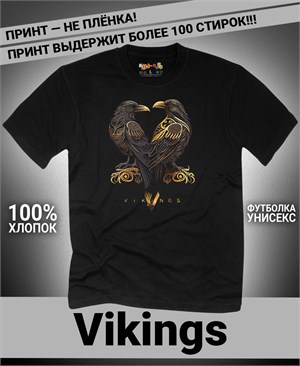 {{photo.Alt || photo.Description || 'Футболка Vikings-4'}}