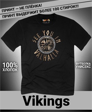 {{photo.Alt || photo.Description || 'Футболка Vikings-5'}}