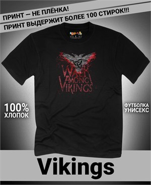 {{photo.Alt || photo.Description || 'Футболка Vikings-6'}}