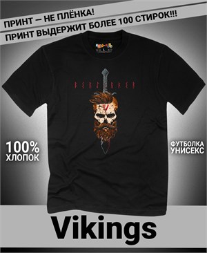 {{photo.Alt || photo.Description || 'Футболка Vikings-9'}}