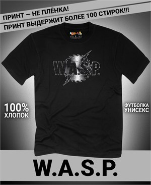 {{photo.Alt || photo.Description || 'Футболка WASP-1'}}