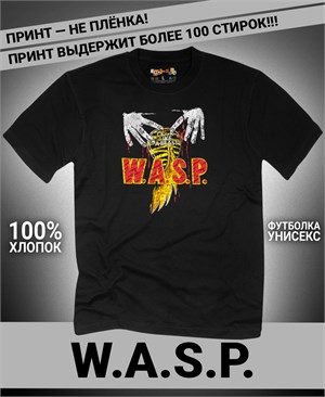 {{photo.Alt || photo.Description || 'Футболка WASP-4'}}