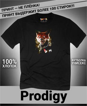 {{photo.Alt || photo.Description || 'Футболка Prodigy-19'}}