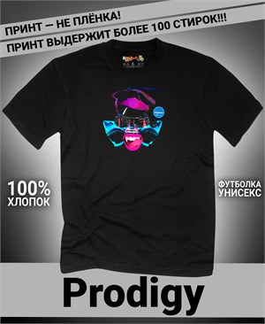 {{photo.Alt || photo.Description || 'Футболка Prodigy-20'}}