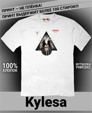 {{photo.Alt || photo.Description || 'Футболка Kylesa-6'}}