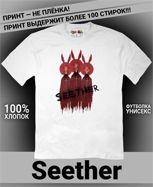 {{photo.Alt || photo.Description || 'Футболка Seether-1'}}