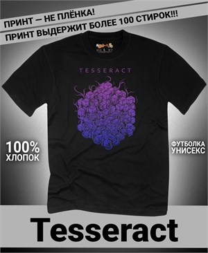 {{photo.Alt || photo.Description || 'Футболка Tesseract-2'}}