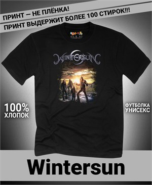 {{photo.Alt || photo.Description || 'Футболка Wintersun-3'}}