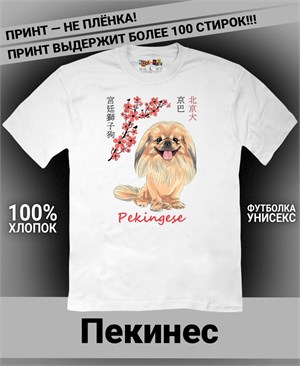 {{photo.Alt || photo.Description || 'Футболка Пекинес'}}