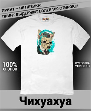 {{photo.Alt || photo.Description || 'Футболка Чихуахуа в шляпе и очках'}}